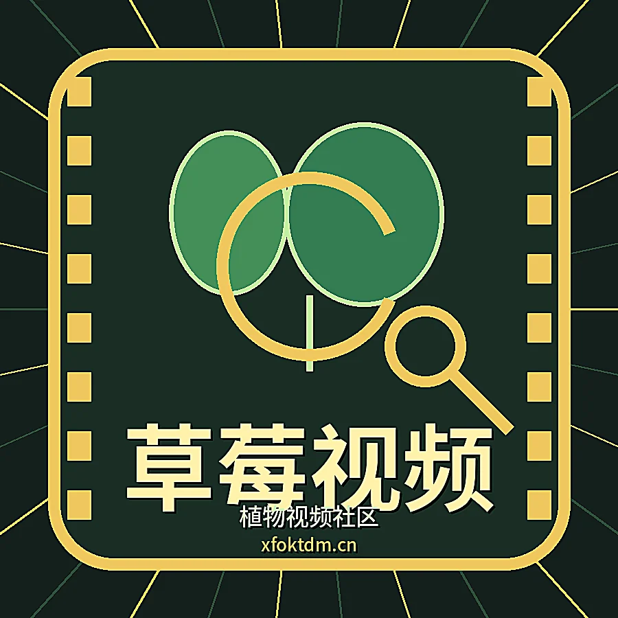草莓视频